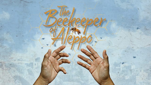 A pair of hands with the pals facing forward. There are Bees floating around them and a blue sky with a light cloud in the background