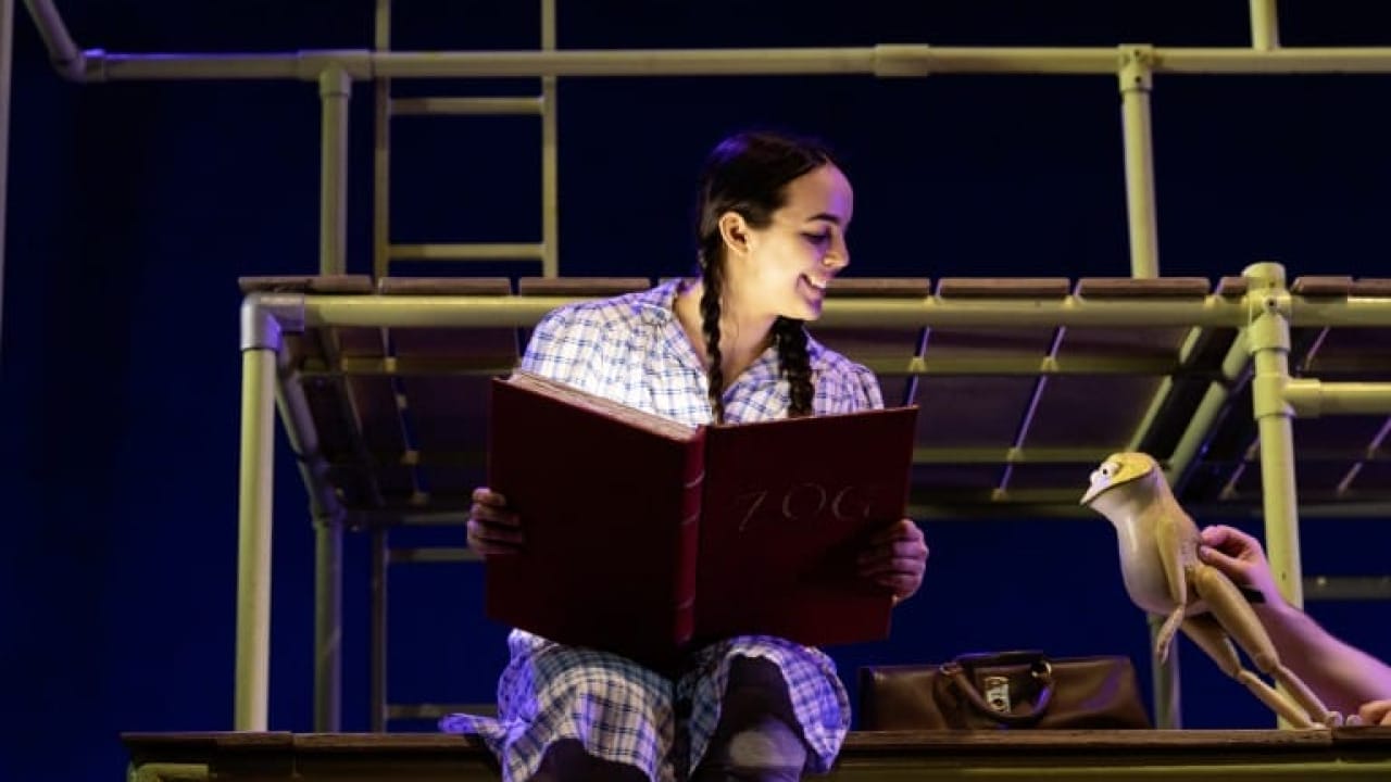 Photographs by Jess Shurte